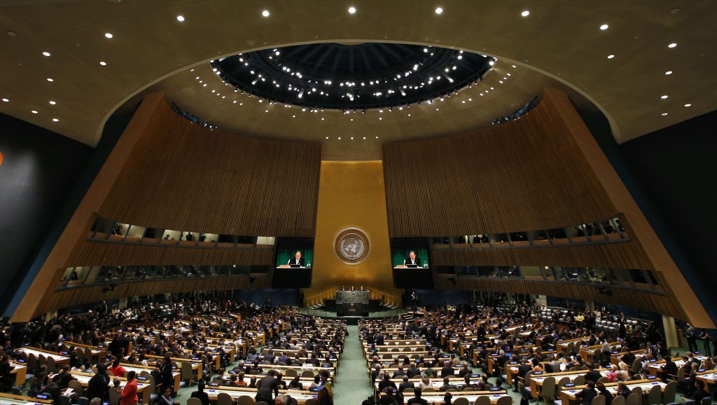 La ONU declaró que el 2025 será el Año Internacional de las ...